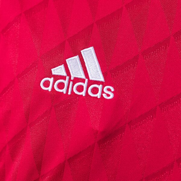 2010-11 LIVERPOOL HOME