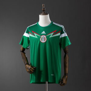 87af84e0cf.jpg 2014 MEXICO HOME
