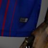 2017-18 BARCELONA HOME