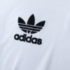 1991 COLO COLO HOME