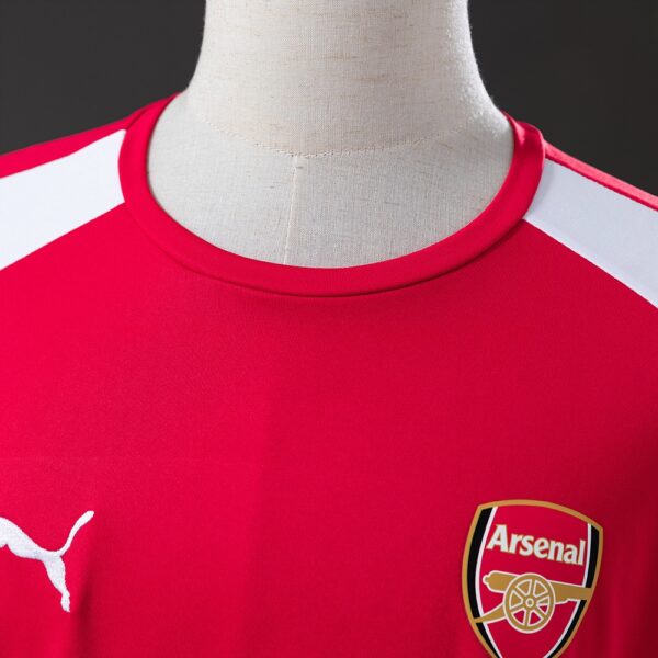 2014-15 ARSENAL HOME